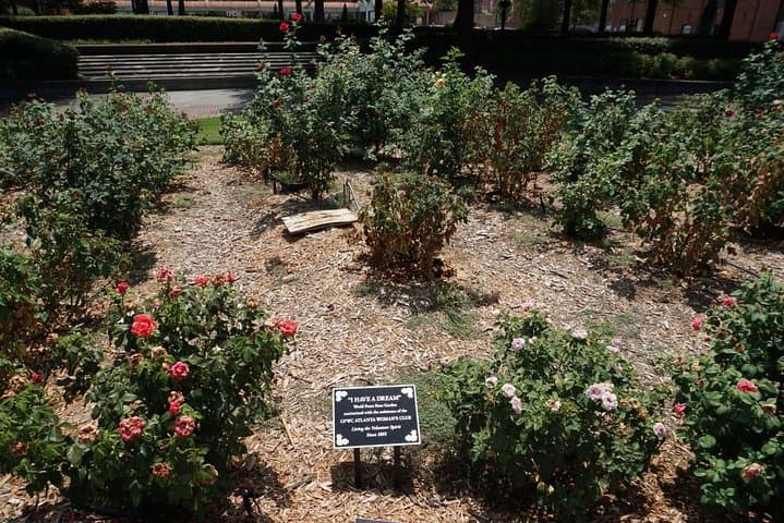 Sacramento Scavenger Hunt: Self-Guided Let's Roam Capital Adventure photo 6
