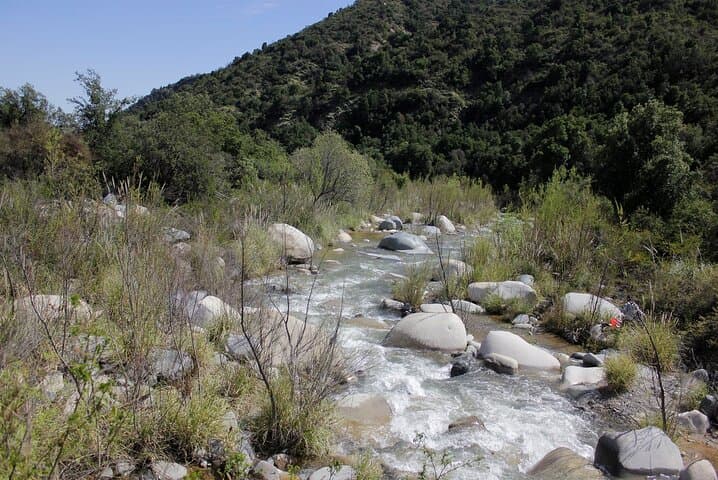 La Campana Full-Day Trek: Chile's Centennial Palms & Wildlife from Santiago photo 6