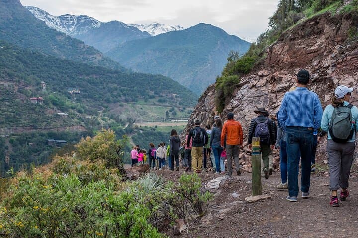 La Campana Full-Day Trek: Chile's Centennial Palms & Wildlife from Santiago photo 3