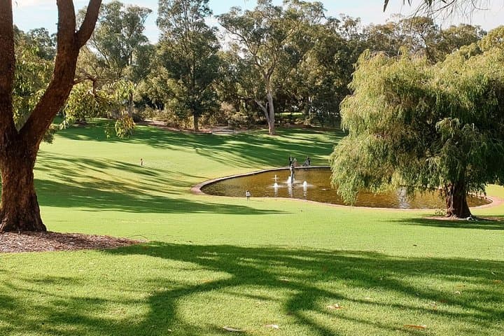 Kings Park Botanicals and Beyond: Guided Hike Through Perth's Inner-City Park photo 2