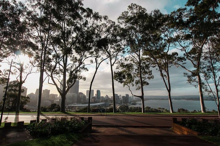 Kings Park Botanicals and Beyond: Guided Hike Through Perth's Inner-City Park photo 3