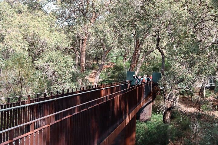 Kings Park Botanicals and Beyond: Guided Hike Through Perth's Inner-City Park