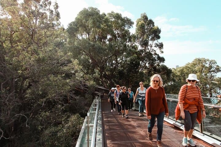 Kings Park Botanicals and Beyond: Guided Hike Through Perth's Inner-City Park photo 5
