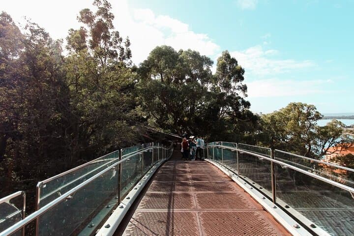 Kings Park Botanicals and Beyond: Guided Hike Through Perth's Inner-City Park photo 6