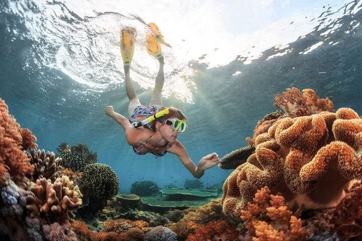 Blue Lagoon Bali Snorkeling Tour from Ubud — Coral Reefs, Moray Eels & Lunch photo 2
