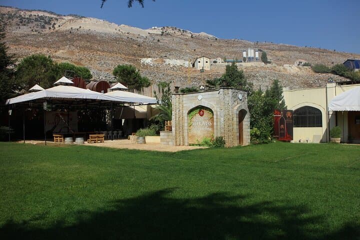 Hike the Chouf Cedars and Taste Bekaa Wines: Day Trip from Beirut photo 3