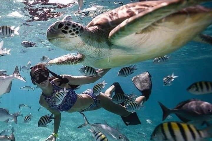 Lombok 4-Day Adventure: Waterfalls, Pink Beach & Snorkel Tours from Kuta photo 3