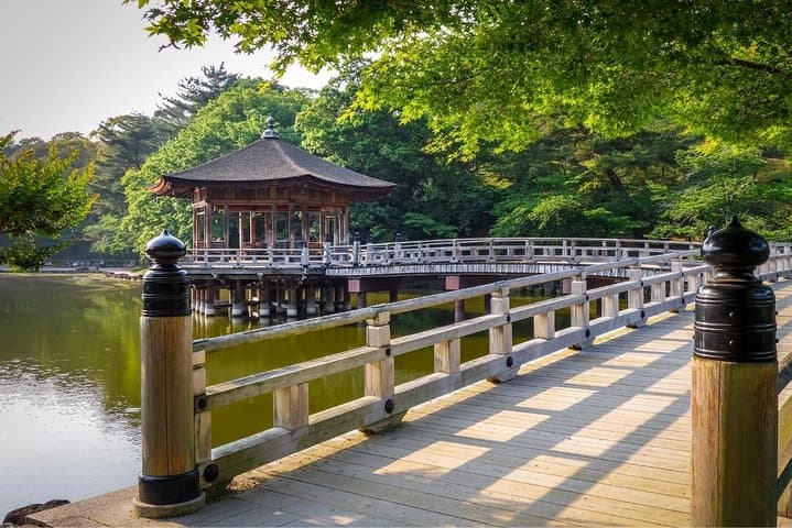 Private Osaka to Nara Day Trip: Personalized Nara Walking Tour photo 5