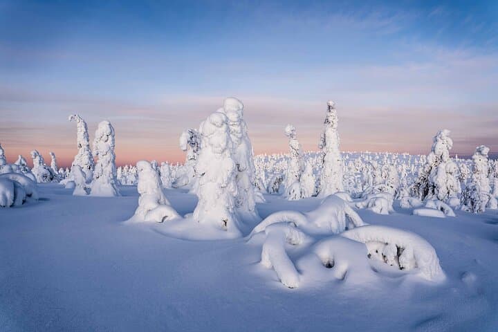 Riisitunturi Wilderness Photography Expedition — Full-Day Arctic Photo Tour from Rovaniemi photo 6