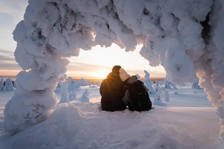 Riisitunturi Wilderness Photography Expedition — Full-Day Arctic Photo Tour from Rovaniemi
