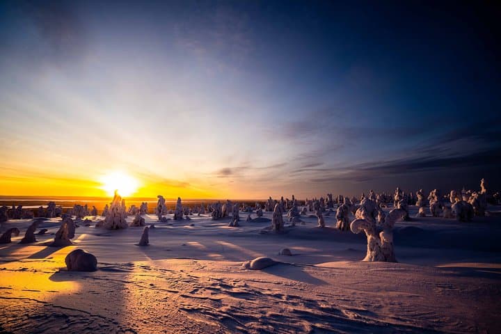 Riisitunturi Wilderness Photography Expedition — Full-Day Arctic Photo Tour from Rovaniemi photo 3