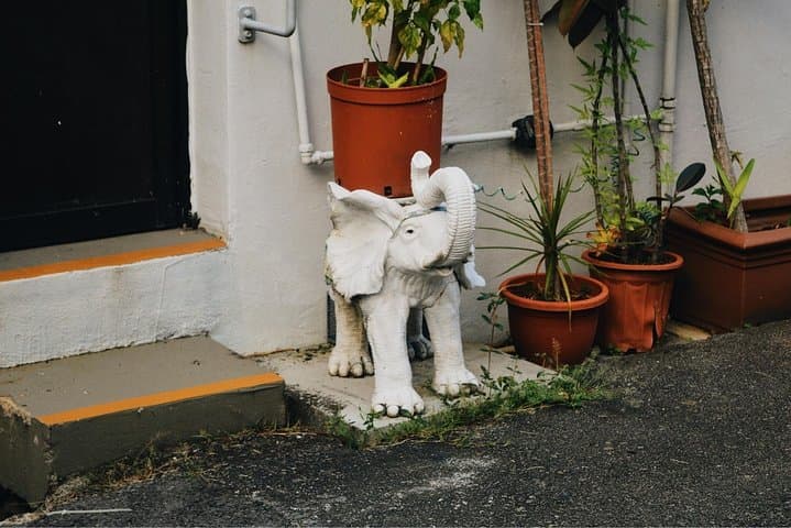 Discover Tiong Bahru: Private Custom Walking Tour of Singapore’s Bohemian Quarter photo 5