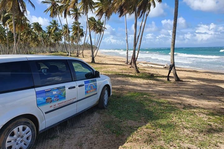 Discover Punta Cana: Safari Adventure & Cultural Dive