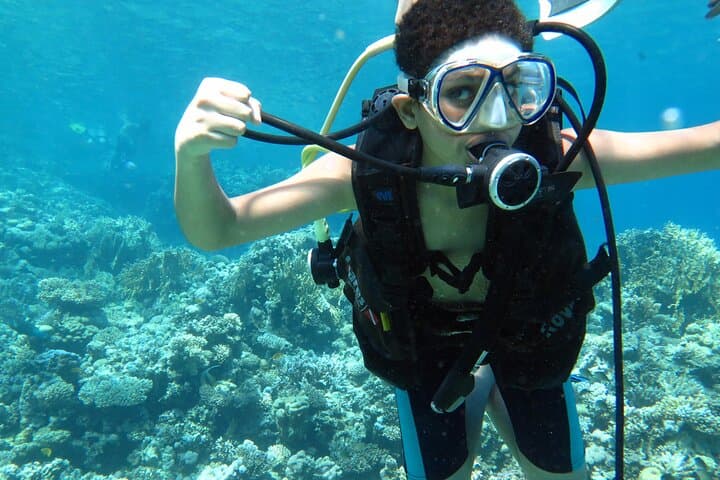 Full-Day Snorkel & Dive Trip to Tiran Island from Sharm El Sheikh photo 3