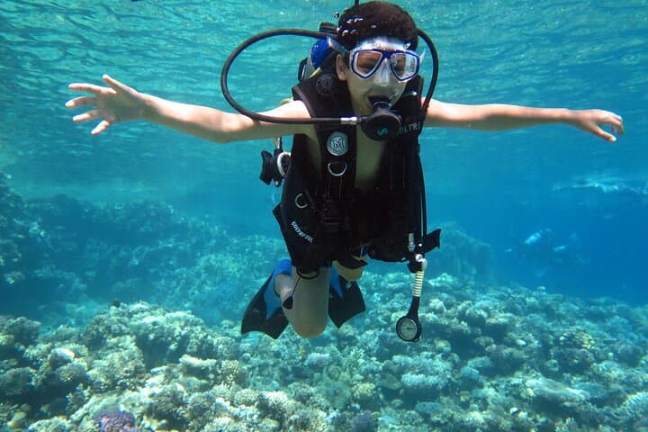 Full-Day Snorkel & Dive Trip to Tiran Island from Sharm El Sheikh photo 4