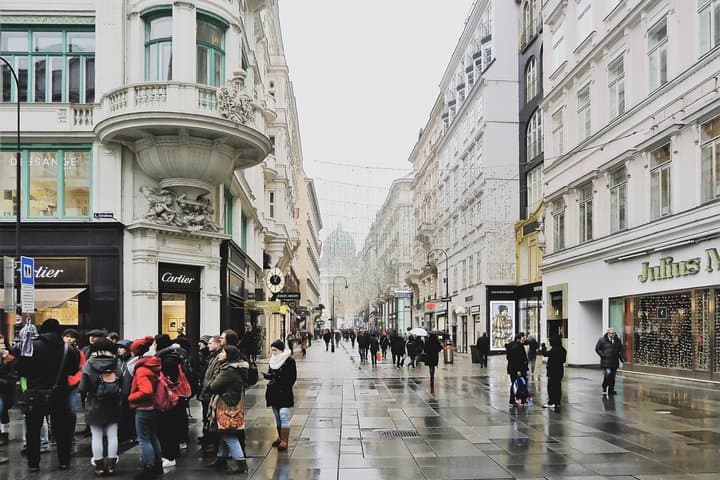 Budapest to Vienna Private Day Trip: Ringstrasse, Schönbrunn & Hofburg photo 6