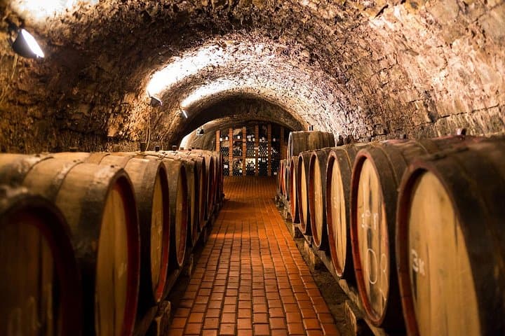 Private Lisbon Wine Tasting Trip to the Setúbal Region: Wineries, Views & Local Flavors photo 4
