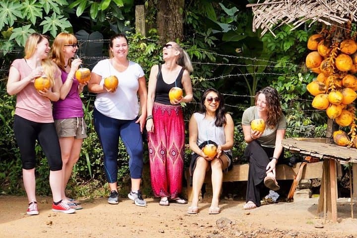 Sri Lanka Luxury 11-Night Guided Mini-Coach Tour: Culture, Tea Hills & Wildlife photo 2