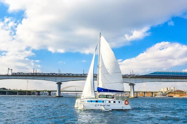 Private Catamaran Yacht Tour on the Han River — Seoul Sunset & Night Skyline photo 2