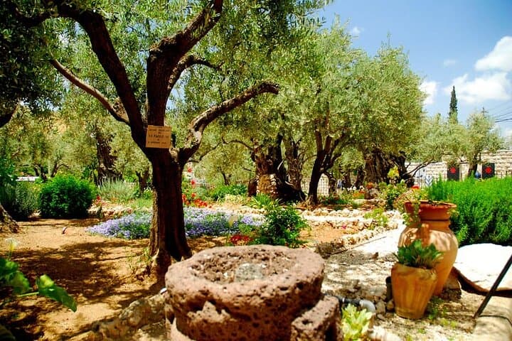 4-Day Sacred Sites Tour from Tel Aviv — Jerusalem, Bethlehem, Jericho & Nazareth