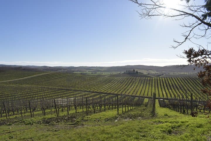 E-Bike Chianti Tour from Siena: Monteriggioni, Farm Lunch & Wine Tasting photo 2