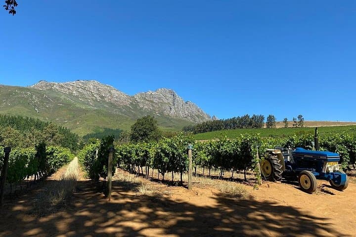 Stellenbosch Vine Hopper Northern Route: Hop-On Hop-Off Wine Tour Guide photo 4