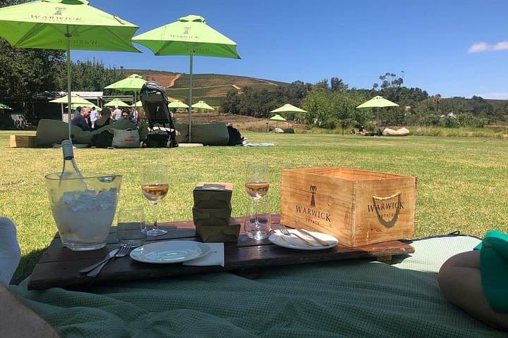 Stellenbosch Vine Hopper Northern Route: Hop-On Hop-Off Wine Tour Guide photo 3