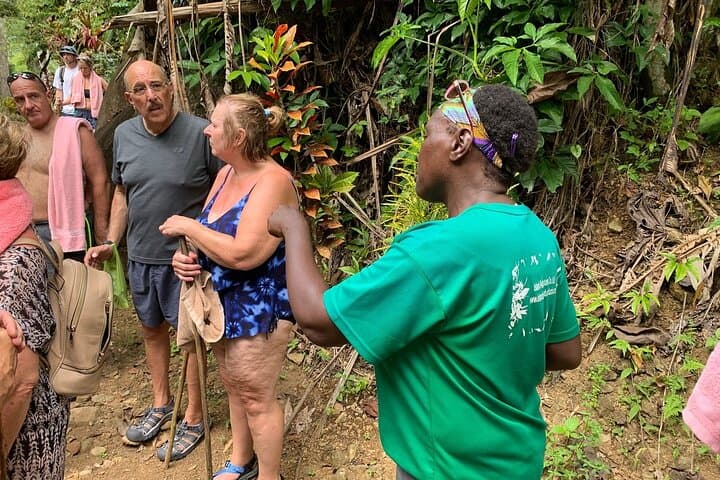 Soufriere Volcano Experience: Drive-In Volcano, Mud Baths & Waterfalls photo 3