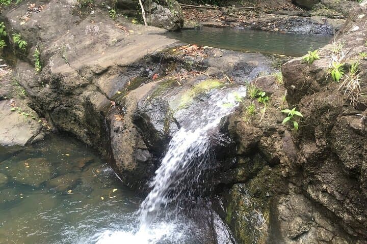 Soufriere Volcano Experience: Drive-In Volcano, Mud Baths & Waterfalls photo 4