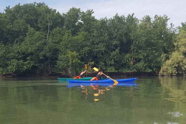Silent Channels: Private Kayak Tour Through the Venetian Lagoon photo 4