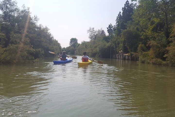 Silent Channels: Private Kayak Tour Through the Venetian Lagoon photo 5