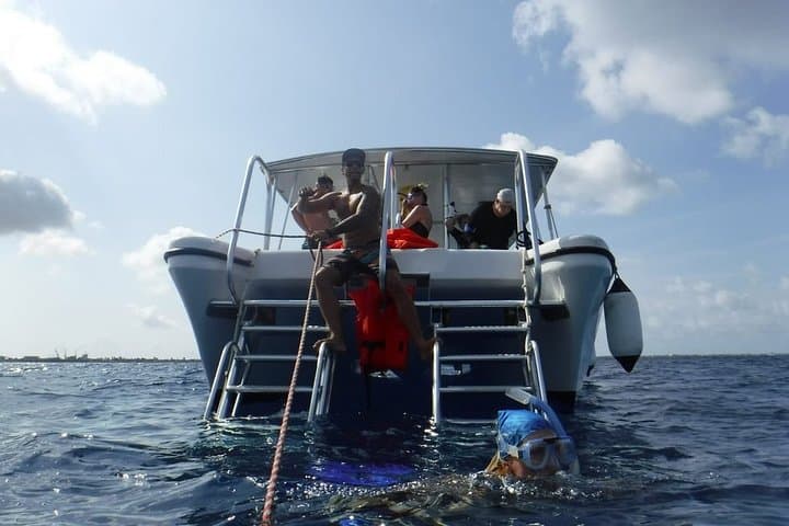 Double Dip Snorkel Trip in Bonaire: Two Reef Stops, Small Groups & Pro Photos photo 3