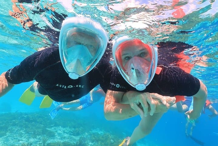 Double Dip Snorkel Trip in Bonaire: Two Reef Stops, Small Groups & Pro Photos photo 4
