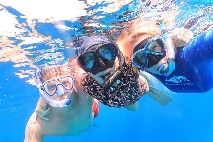 Double Dip Snorkel Trip in Bonaire: Two Reef Stops, Small Groups & Pro Photos photo 5
