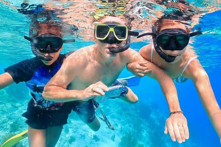 Double Dip Snorkel Trip in Bonaire: Two Reef Stops, Small Groups & Pro Photos photo 6