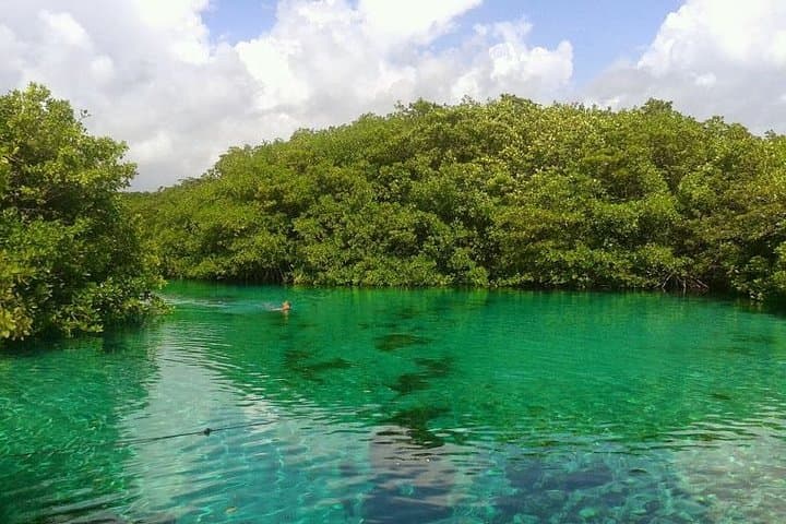 Discover Scuba Diving at Casa Cenote: Introductory PADI Experience in Tulum photo 4