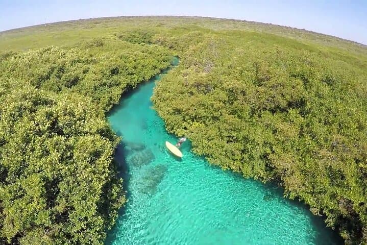 Discover Scuba Diving at Casa Cenote: Introductory PADI Experience in Tulum photo 5
