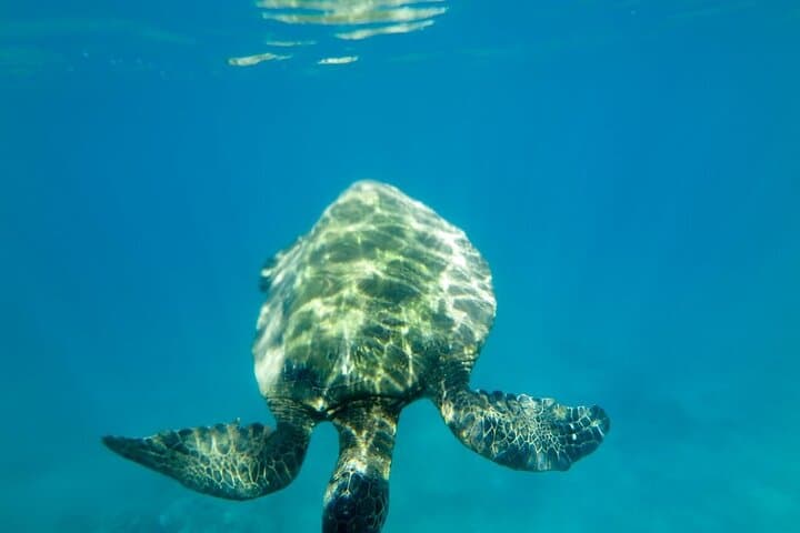 Makena Turtle Town: Private Beginner SUP & Snorkel Lesson in Wailea photo 3