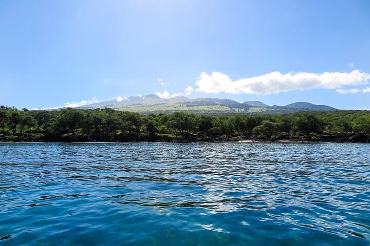 Makena Turtle Town: Private Beginner SUP & Snorkel Lesson in Wailea photo 4