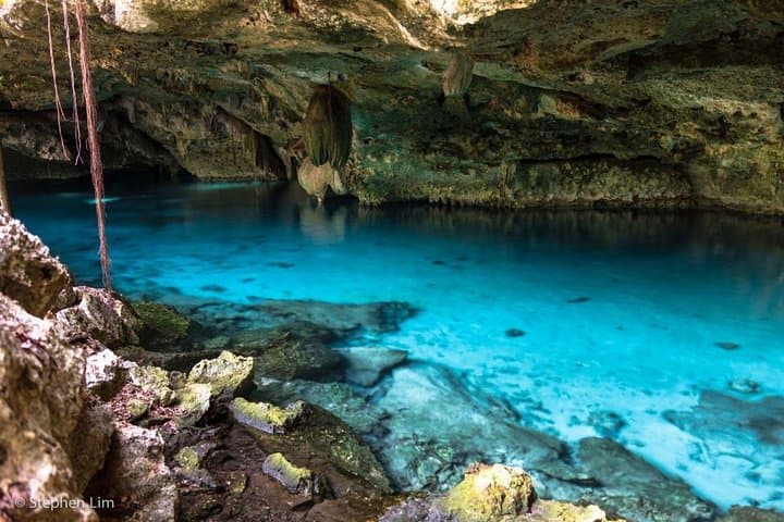 Discover Scuba Diving at Casa Cenote: Introductory PADI Experience in Tulum photo 2