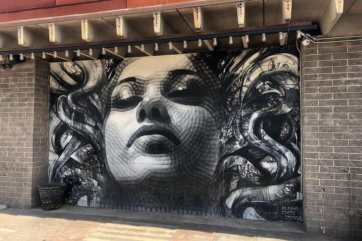 RoRo Street Art Walking Tour Phoenix — Roosevelt Row Mural Walk & Urban Art History photo 6