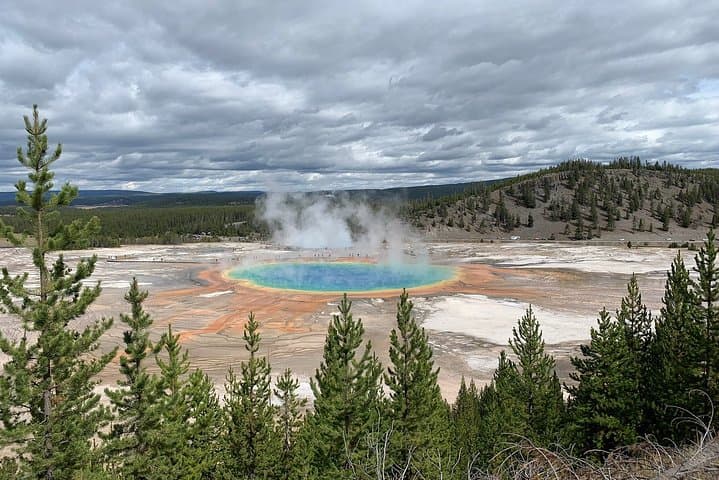 Two-Day Yellowstone Upper and Lower Loop: Geysers, Wildlife & Hot Springs photo 4