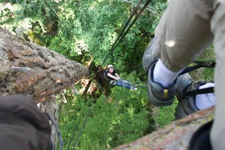 Experience Tree Canopy Climbing on Lopez Island’s Old-Growth Giants photo 4