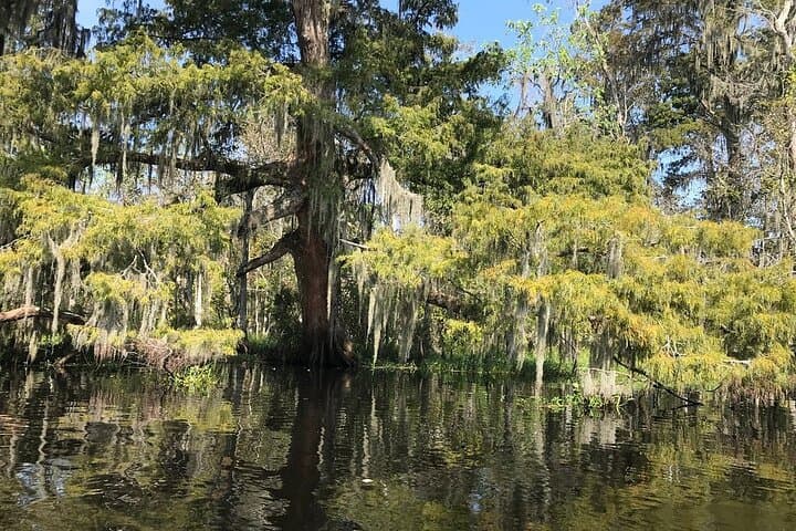 Manchac Swamp Kayak and Whitney Plantation Combo from New Orleans photo 3