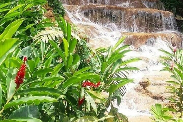 Blue Hole & Konoko Falls Combo — Ocho Rios Day Tour from Runaway Bay photo 5