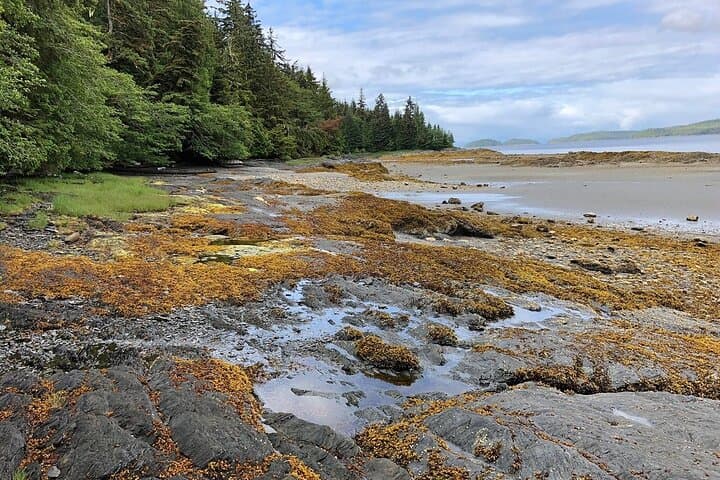 Exploring Ketchikan’s Tongass: Electric Bike and Rainforest Hike Adventure photo 5