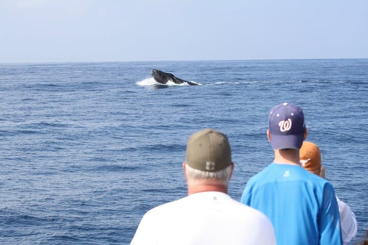 Imiloa Express Kauai Whale Watch & Cocktail Catamaran Cruise photo 4