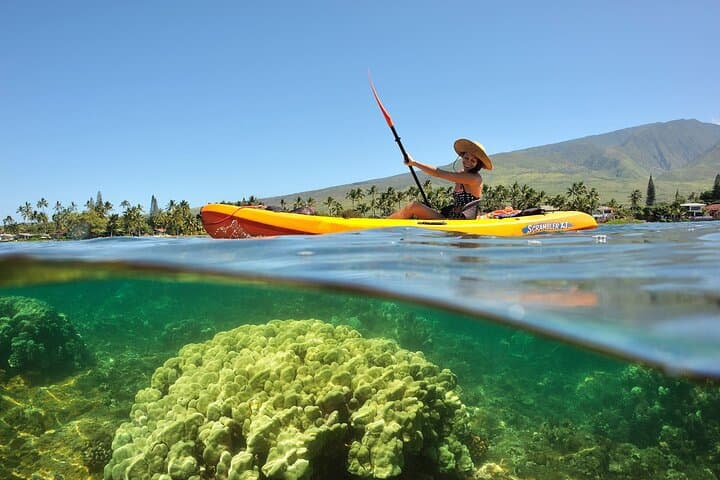 Paddle Turtle Reef: Makena Landing Kayak & Snorkel Tour in Maui photo 5