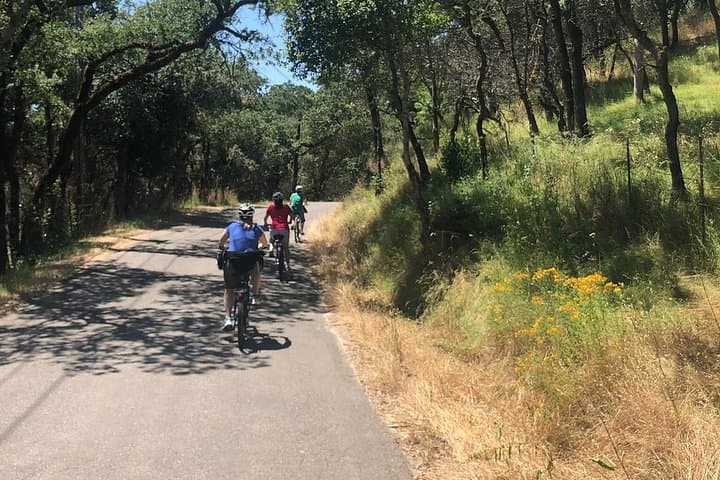 Hassle-Free Bike Rental in Sonoma Valley: E‑Bikes, Hybrids & Local Routes photo 4