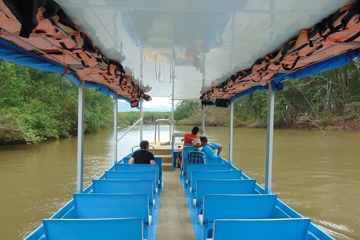 Tarcoles River Crocodile Safari & Birdwatching from Jaco photo 4